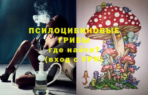 Альфа ПВП Алзамай