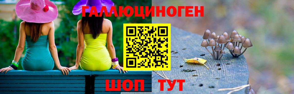 купить наркотики цена  Вход с VPN  Алушта  Галлюциногенные грибы мицелий  Псилоцибиновые грибы Magic Shrooms 